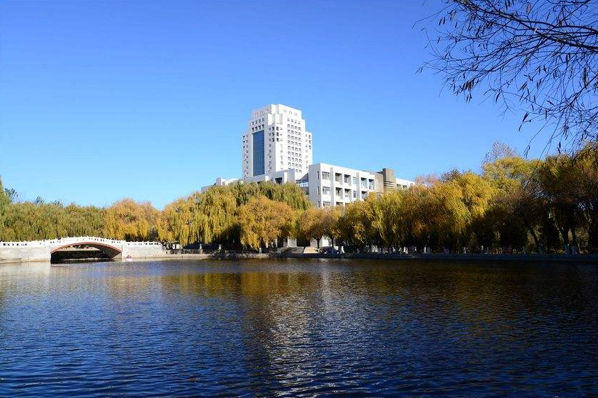 “双一流”的漏网之鱼：9类36所大学，47个A类学科