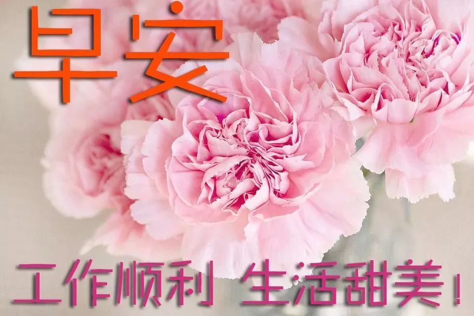 春日特漂亮的清晨鲜花早上好图片带字，祝愿工作顺利、生活甜美图片