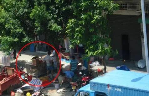 夏至狗，無路走，每年夏至，紫金人為啥非吃狗肉不可？