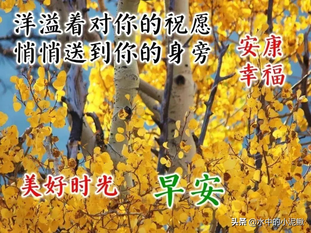 适合发朋友圈的早安心语，朋友圈早安走心的经典正能量说说语录