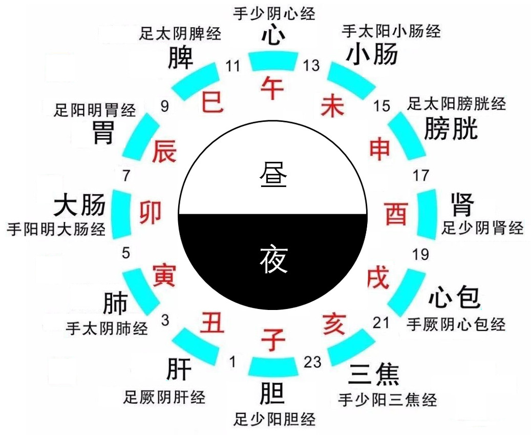十二地支有何天文和人文意义？-今日头条