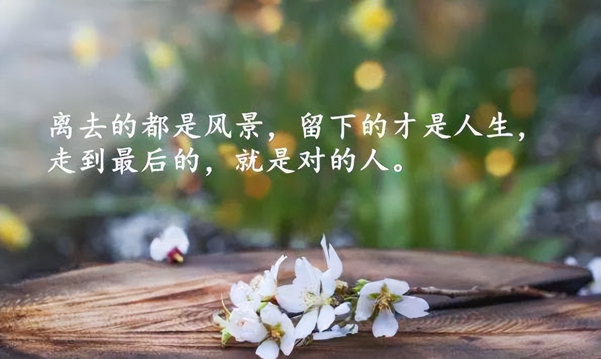 朋友,无论生活好坏总得继续下去,好文章优美段落摘抄2