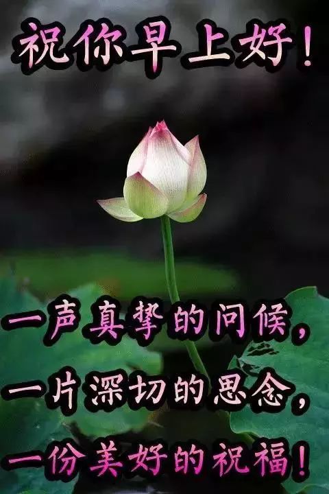 微信早上好祝福语图片大全，人生就这一辈子，关键是要活出自己图片