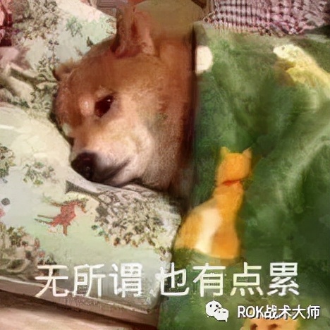 万国觉醒丨尼布甲尼撒装备推荐