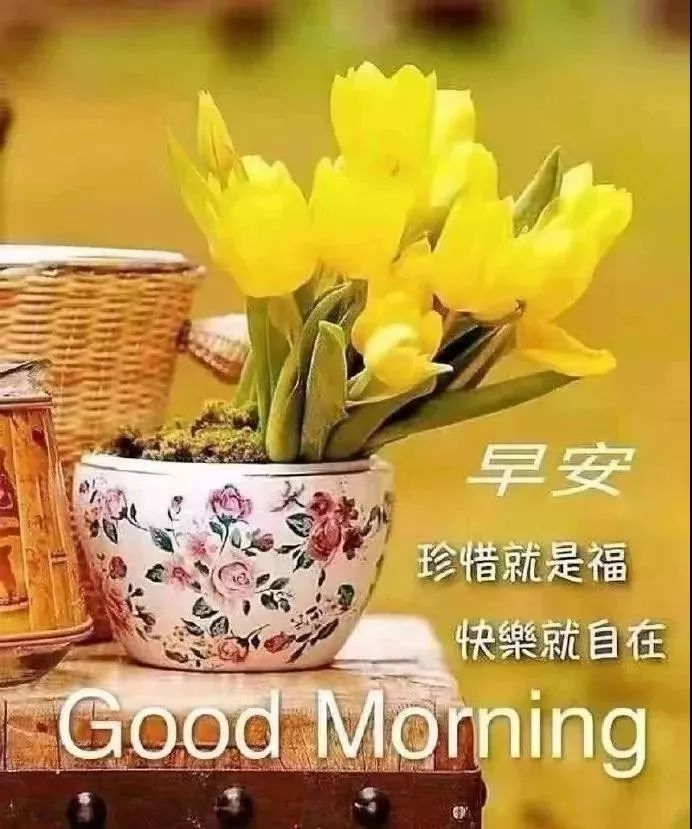 周日清晨早上好问候祝福动态表情图片 美好早晨送你快乐健康图片