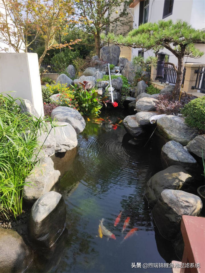 煦瑞生态水如何把拆除的旧池建造成标杆鱼池？鱼池过滤系统揭秘