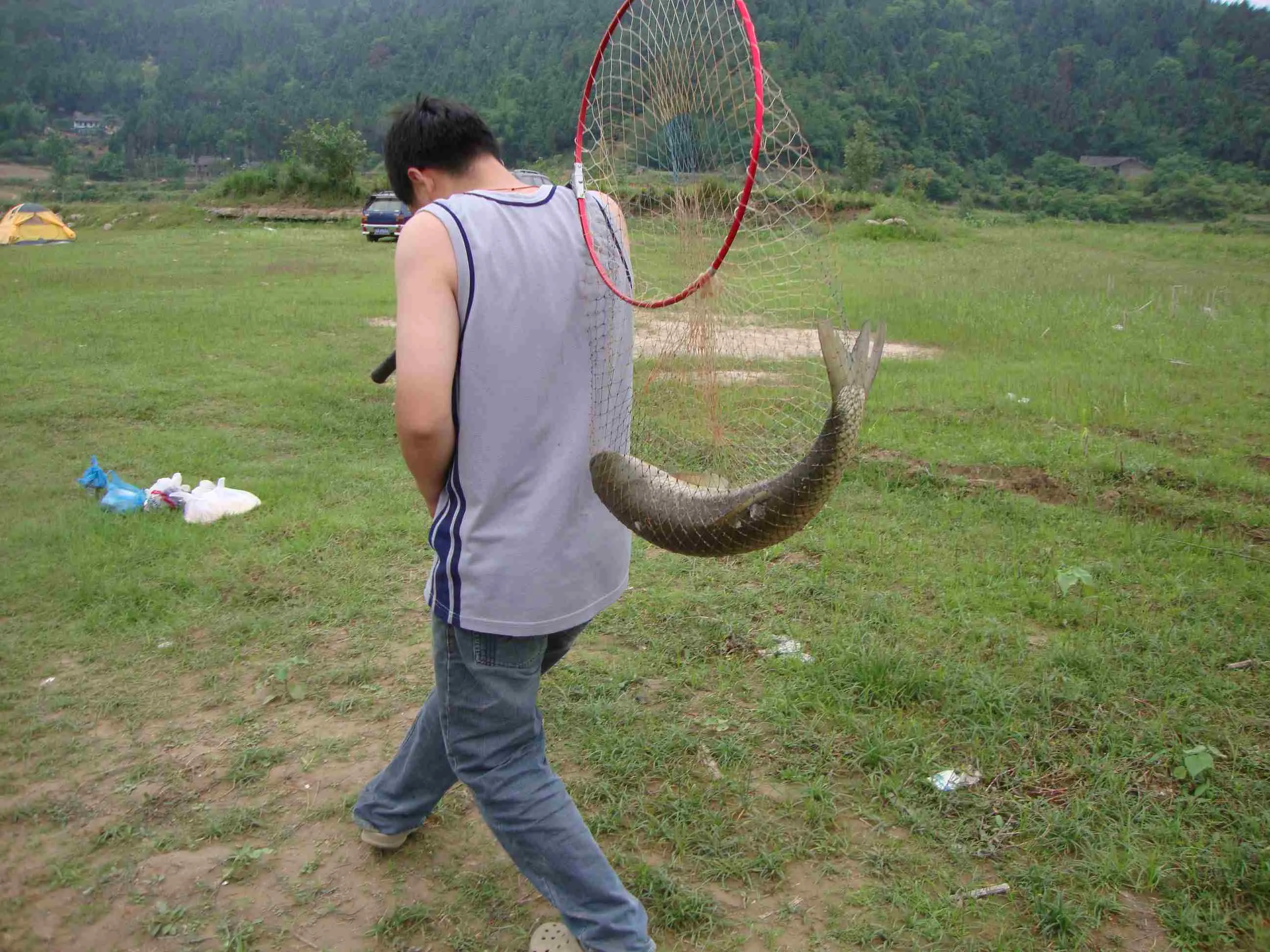 看问题要一分为二(看问题一分为二)