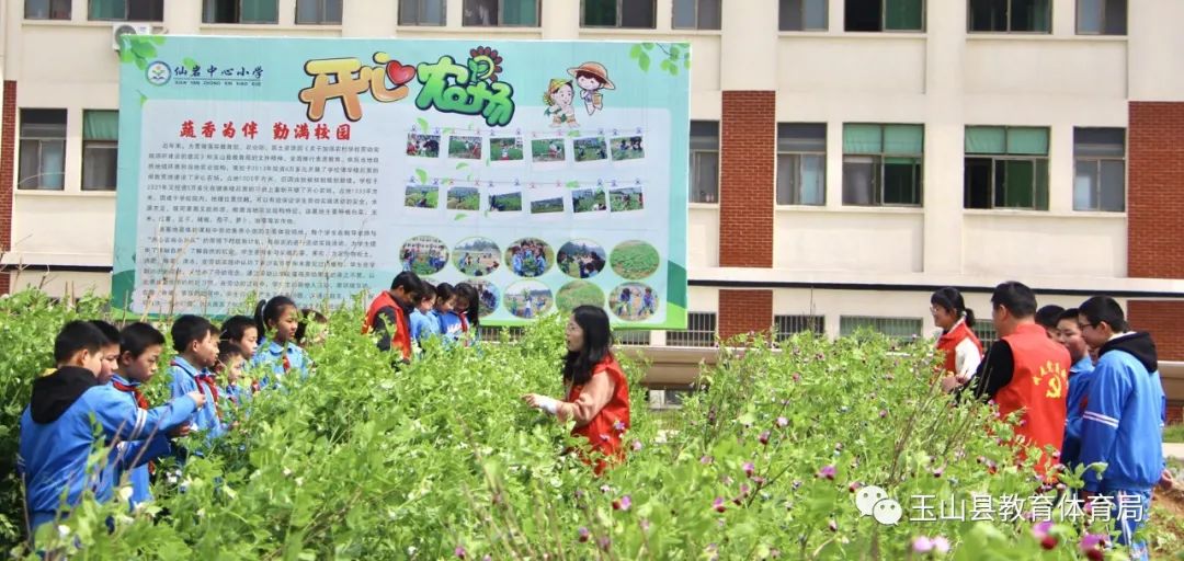 玉山县仙岩小学深入推进劳动教育实践活动纪实