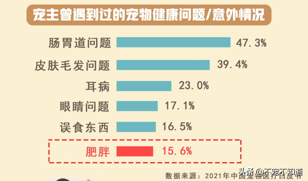 帕帕(爱新觉罗·帕帕，顶着吃饭被揍的压力，硬把自己吃成了猪)