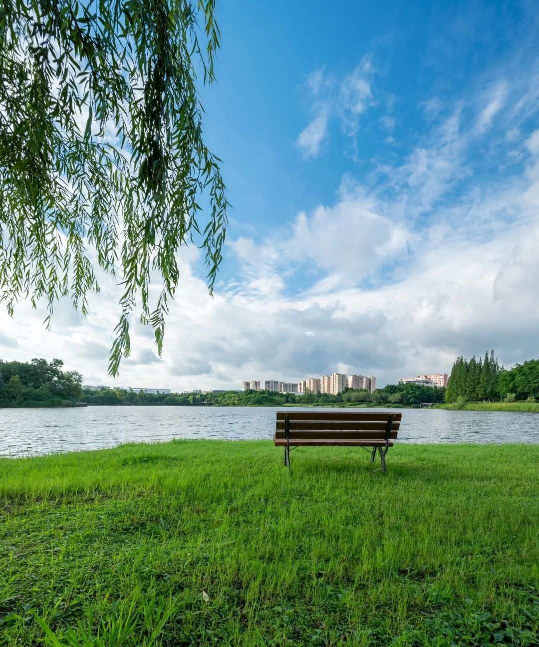 创“全球首个”，培养70位院士，走出开国元勋！四川大学又一“高超技艺”曝光！