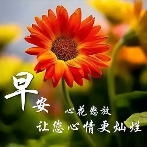 非常漂亮的周六早上好祝福图片 早上好问候语 愿你开心幸福 美满顺利图片