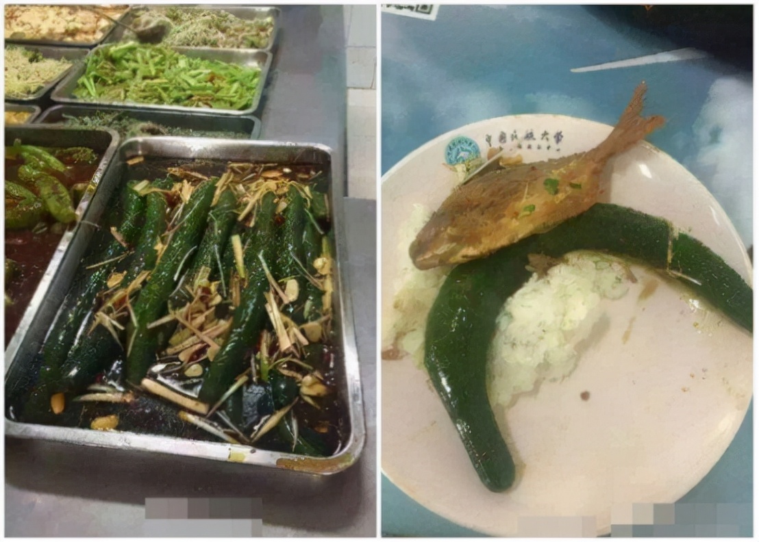 大学食堂，除了手抖的阿姨，还有让学生“为之一颤”的奇葩菜单