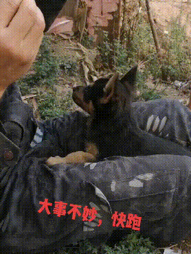 爸，你旁边的叔叔好帅，爸爸：这是你妈，网友当场笑喷了，哈哈哈