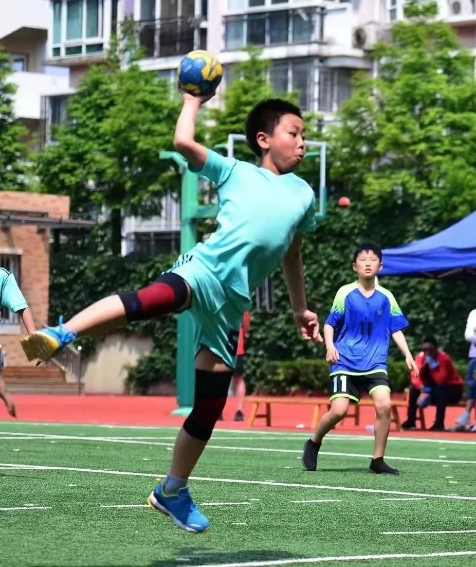 小学生手球图片(宝山这所小学“精耕细作”手球20年)