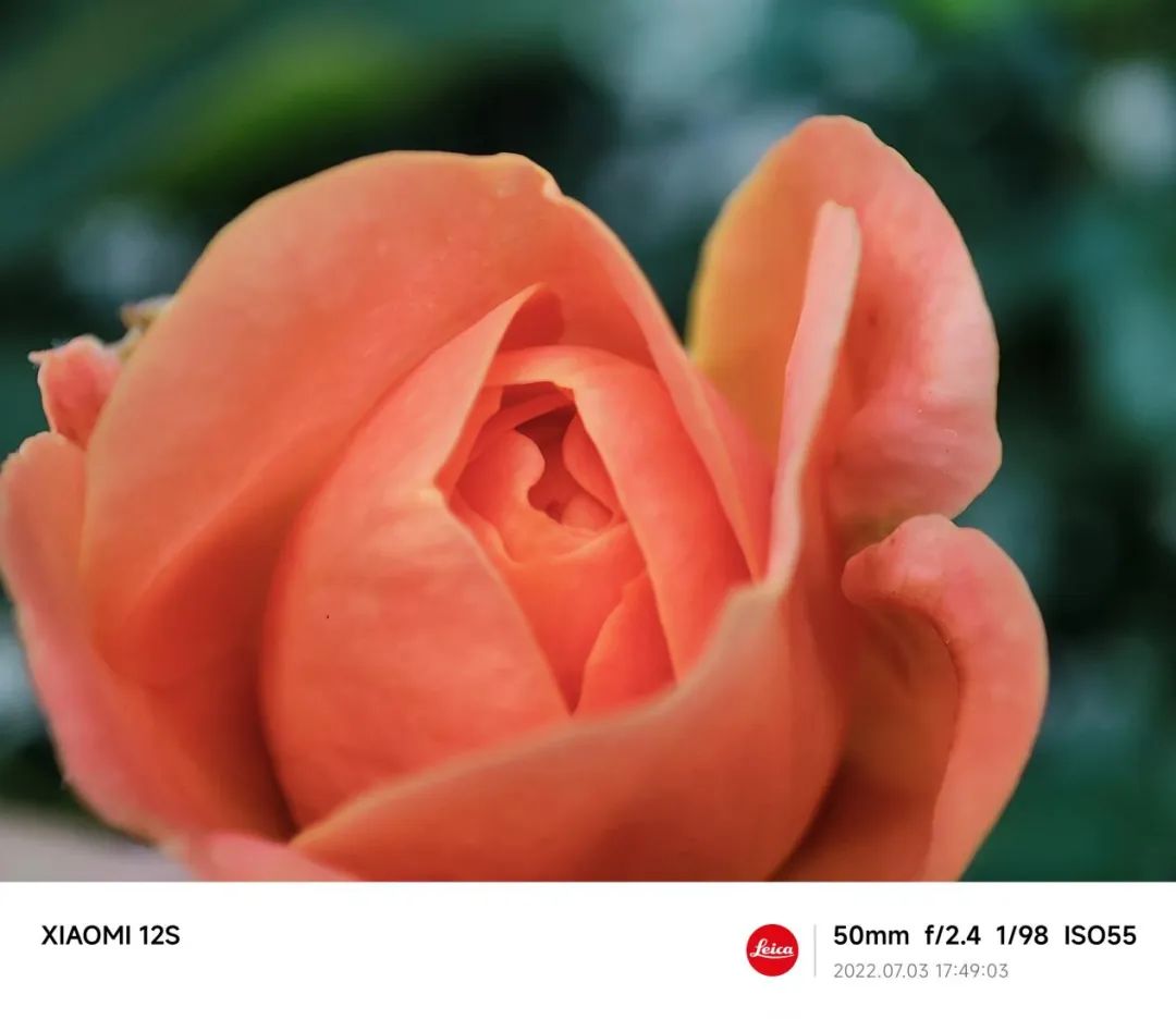 小米12S就是我想要的小尺寸全能旗舰