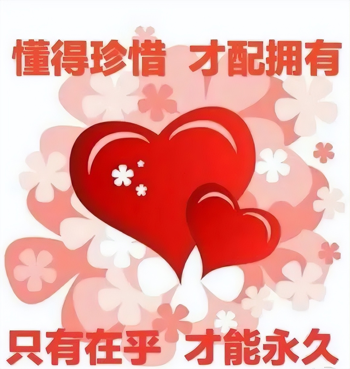 周末早上好美女表情图片，愿你心情芬芳、生活顺畅、幸福无限图片