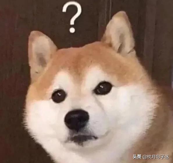 句子库‖一些可爱到爆的沙雕文案