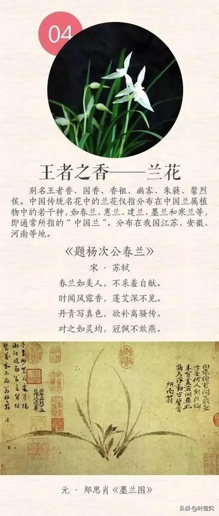 中国十大名花,您都知道吗?