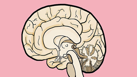 年纪轻轻长了白发，是不是肾虚？用生姜、何首乌、黑芝麻有用吗？