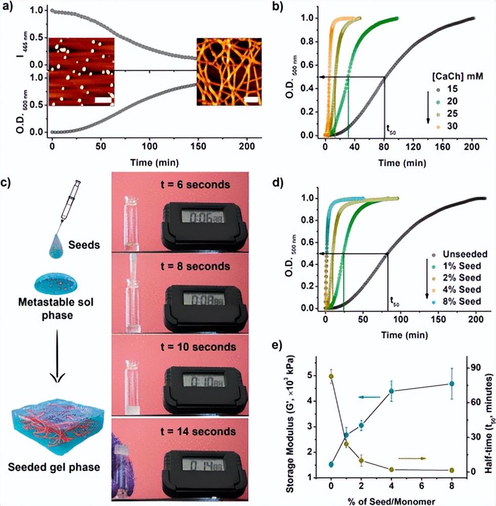 最新《JACS》！种子动态超分子水凝胶