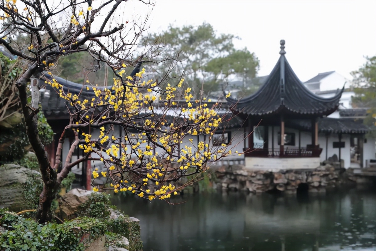 @外地留苏职工，春节期间，苏州园林景区半价