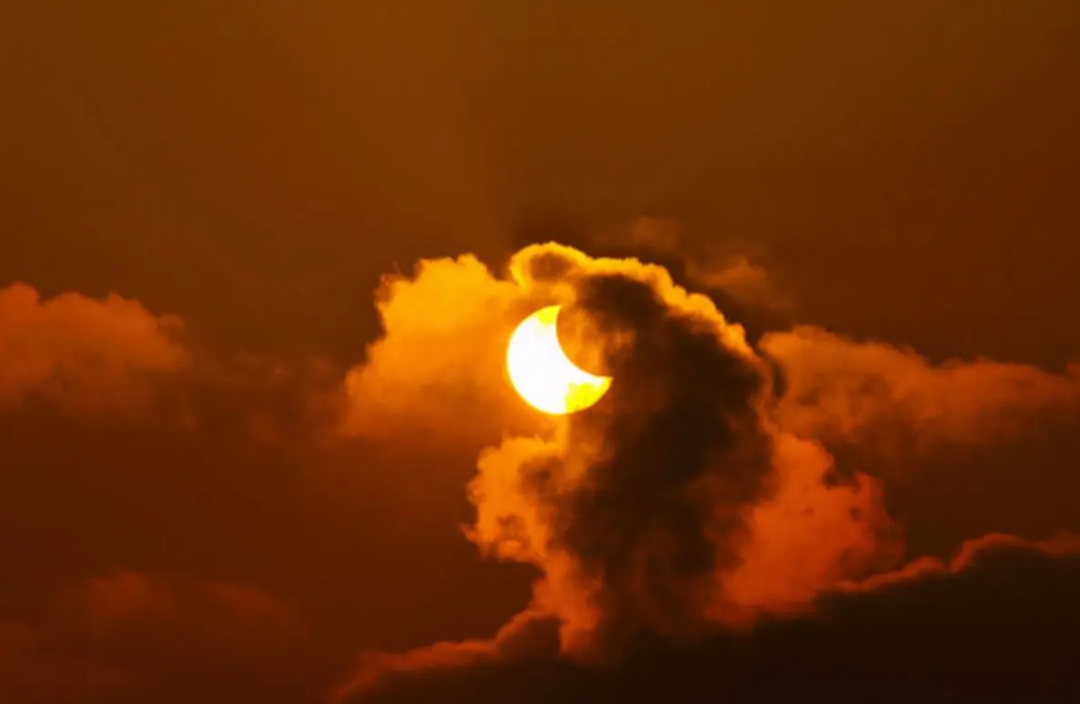 2022����ʳ�����ݣ��칷ʳ��Ϊ�λ����˲�Ը������ʲô�ط��ɼ���