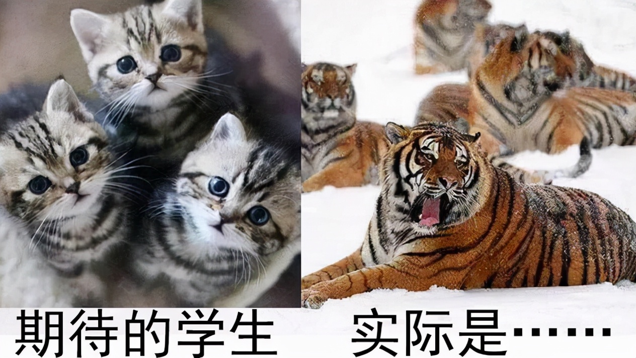 当老师前后在容貌上的变化，当老师前闭月羞花，当老师后蓬头垢面
