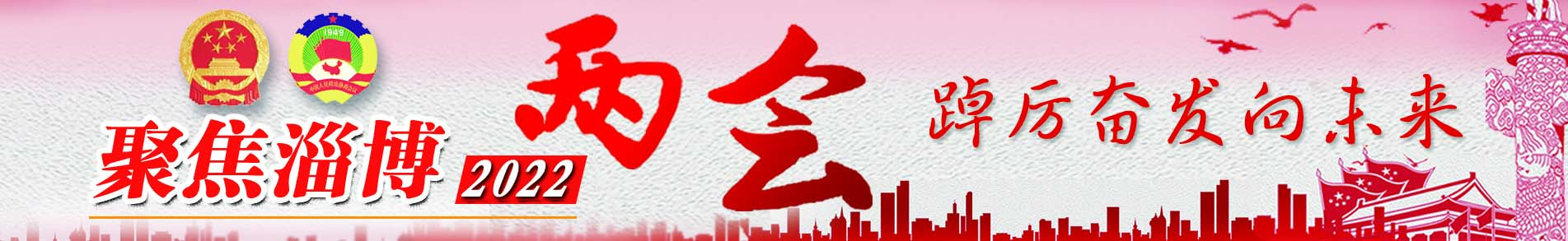 聚焦淄博两会 