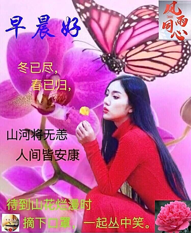 星期二早安朋友圈温馨祝福图片早安问候语录 平安吉祥、好运相随图片