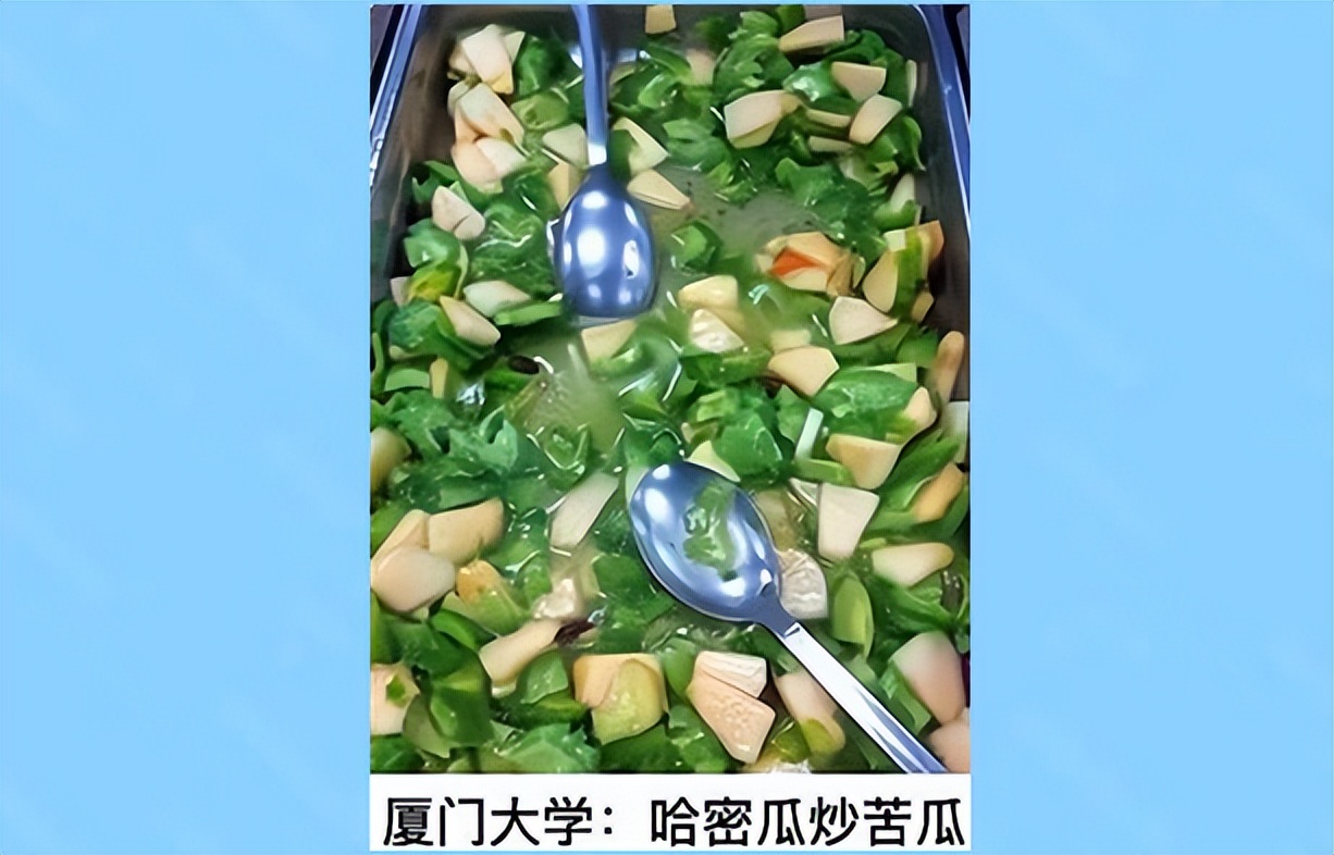 “第九大菜系”重现大学食堂，学生有苦难言，多希望阿姨抖两下