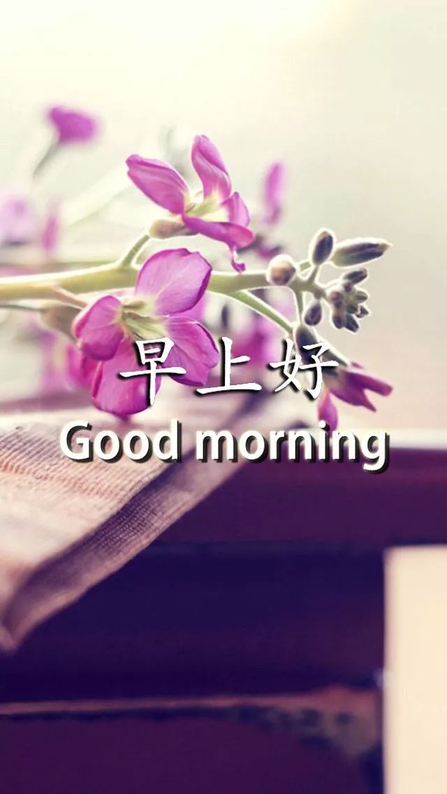 微信群发给朋友的温馨早上好祝福语句子 珍惜每天每时每刻图片
