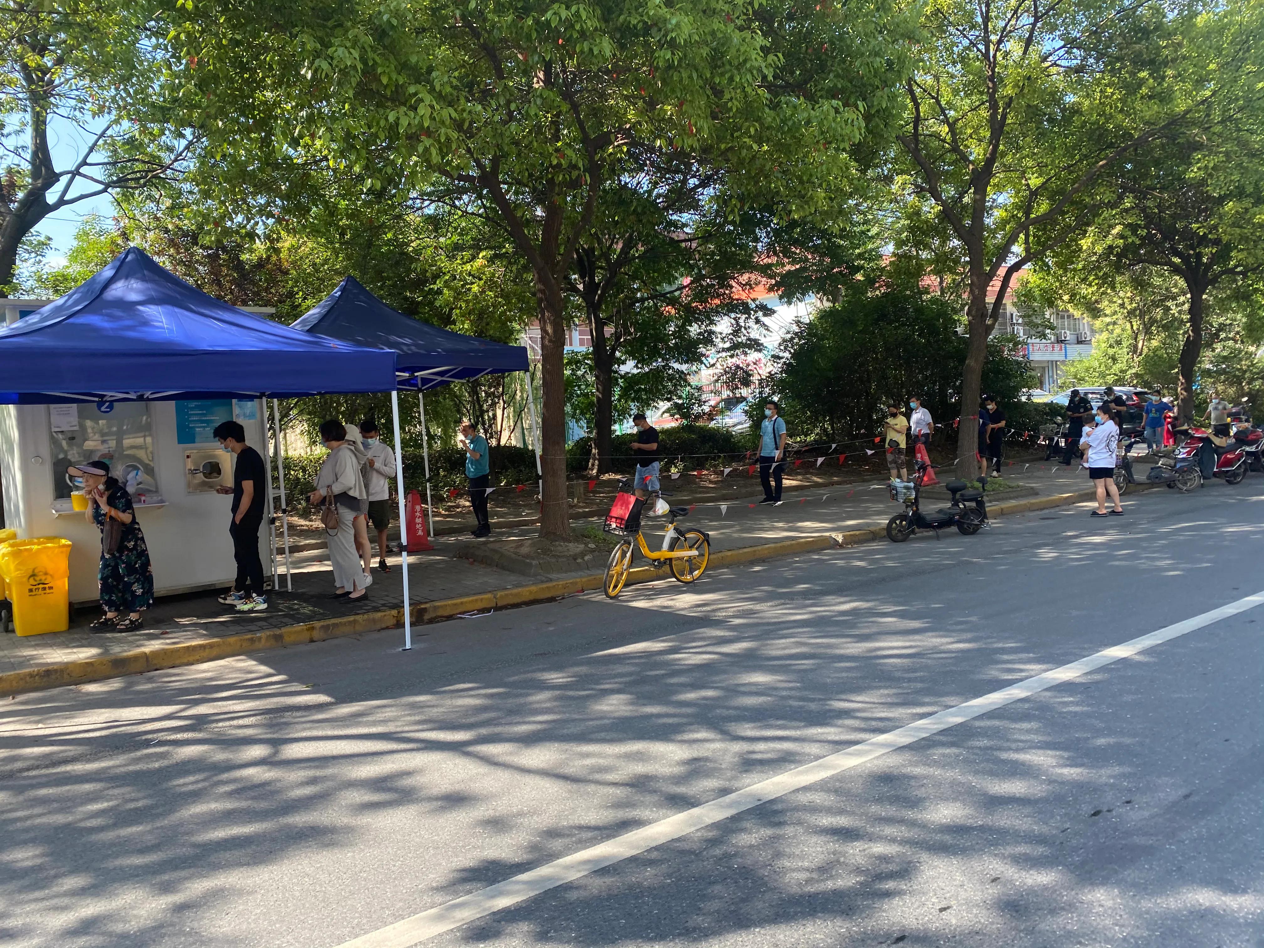 徒步长江日记(121)上海市宝山区罗泾涵养林～宝山区盛桥镇