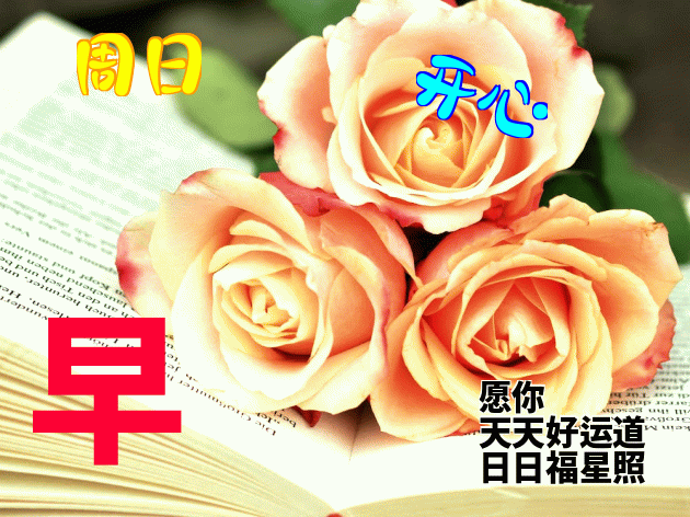 周末早上好早上好问候语大全 早上好表情包 天天好运道，日日福星照图片