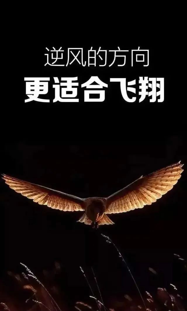 「2022.03.02」早安心语，正能量最好语录，最美早上好问候语图片