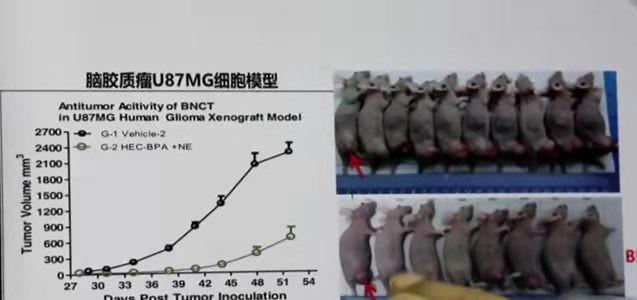 10万元，30分钟就能清除癌细胞？国产抗癌“硼药”，明年或将上市