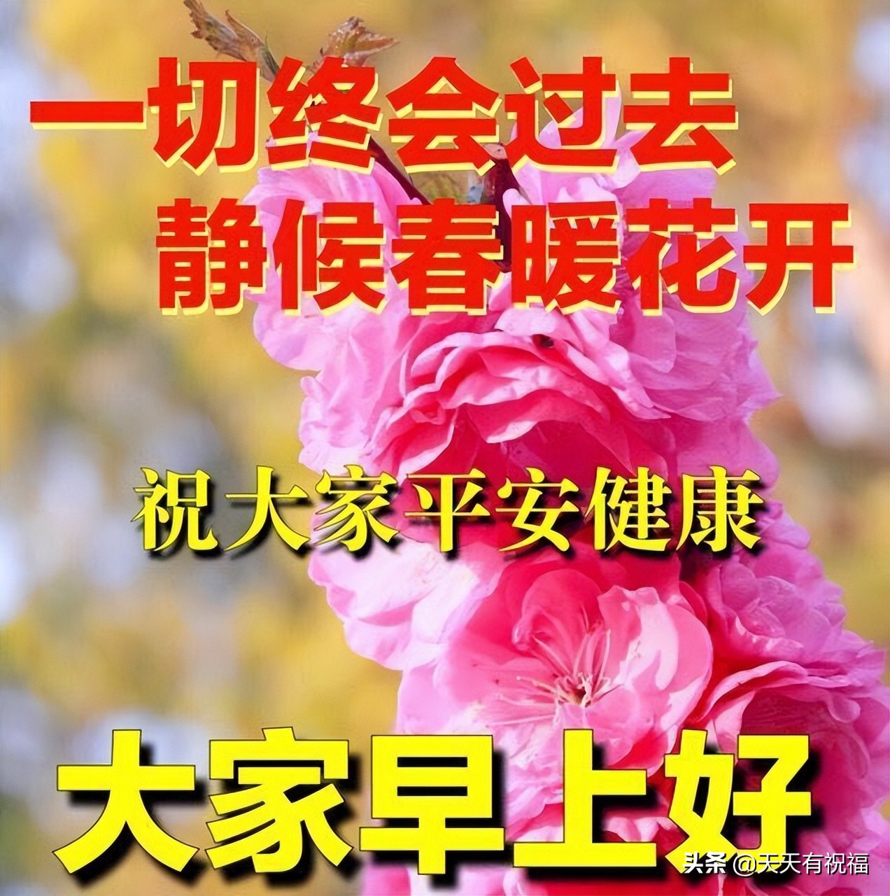 最新版早安短信问候祝福语大全 最美早安问候语图片带字温馨