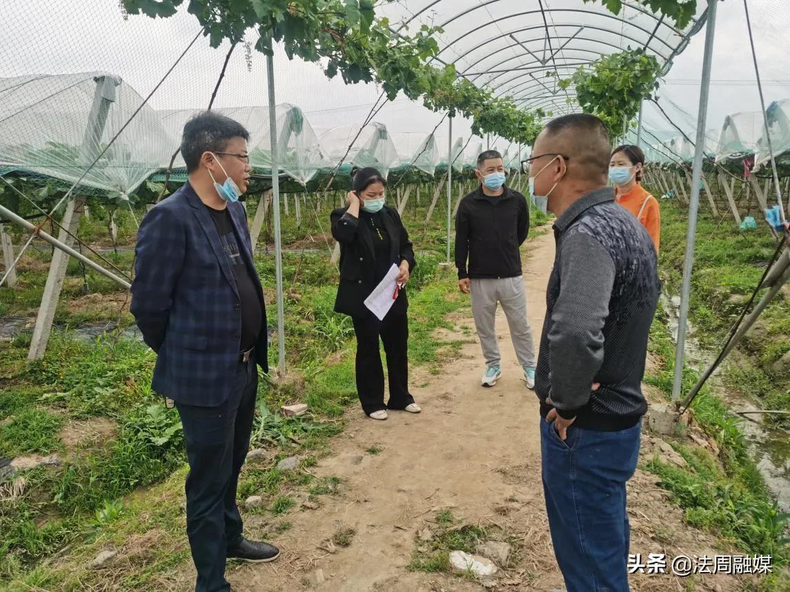 澧县对葡萄等蔬果产业外来务工人员疫情防控工作开展督查