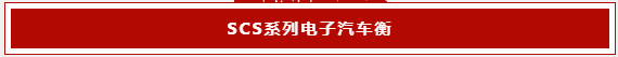 致敬新益德称重15周年