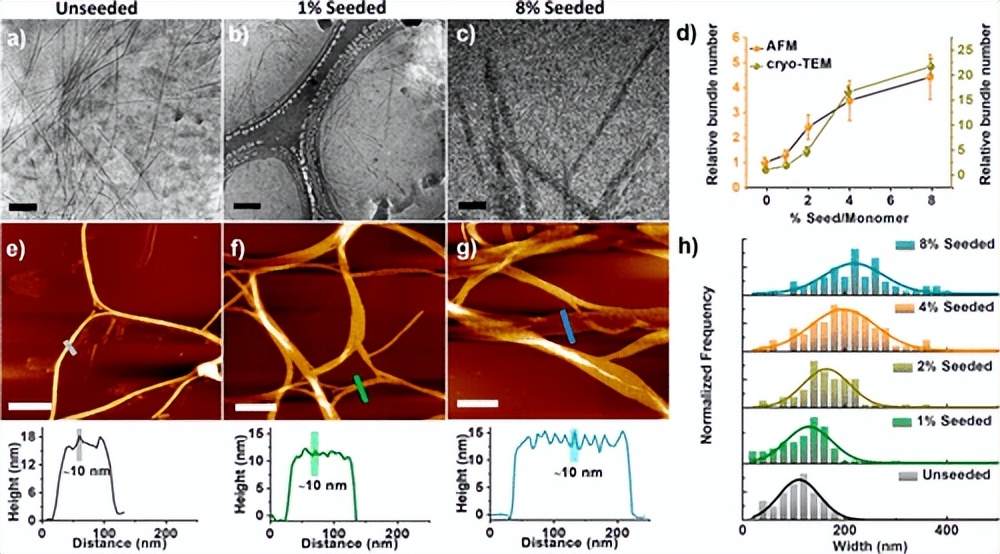 最新《JACS》！种子动态超分子水凝胶