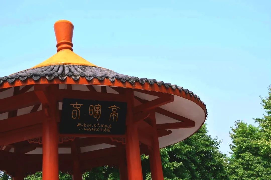 重庆超“有颜”大学！坐拥研究中心“全国唯一”，拥有价值超20万的神仙月季！