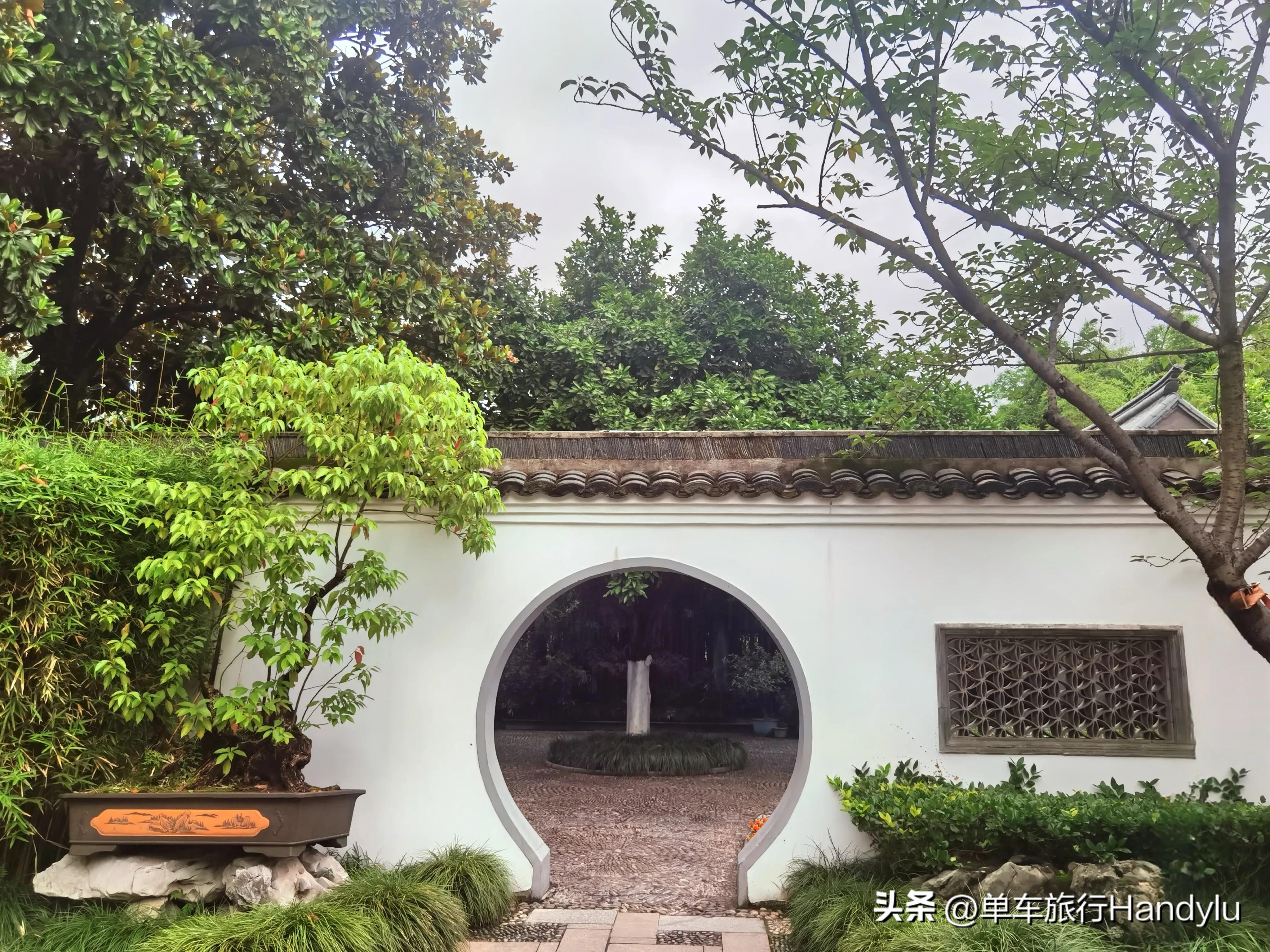 宁波最低调的5A景点，月湖公园