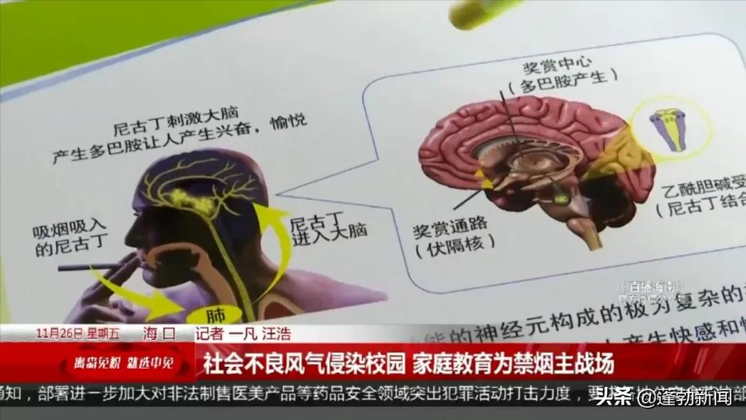 中国学员都跑出去抽烟去了(水吧内学生聚集抽烟，现场烟雾缭绕，好好管管吧)