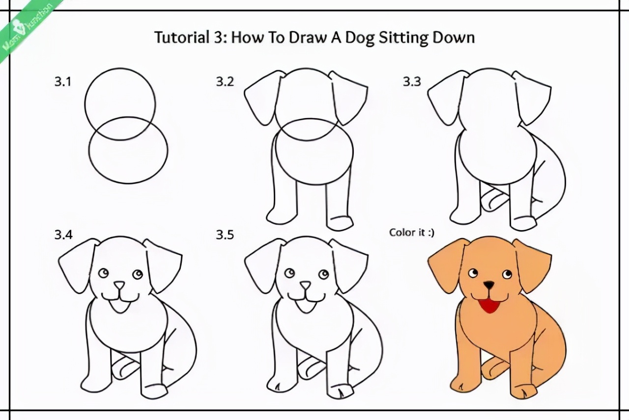 九种小狗的简笔画法详细教程