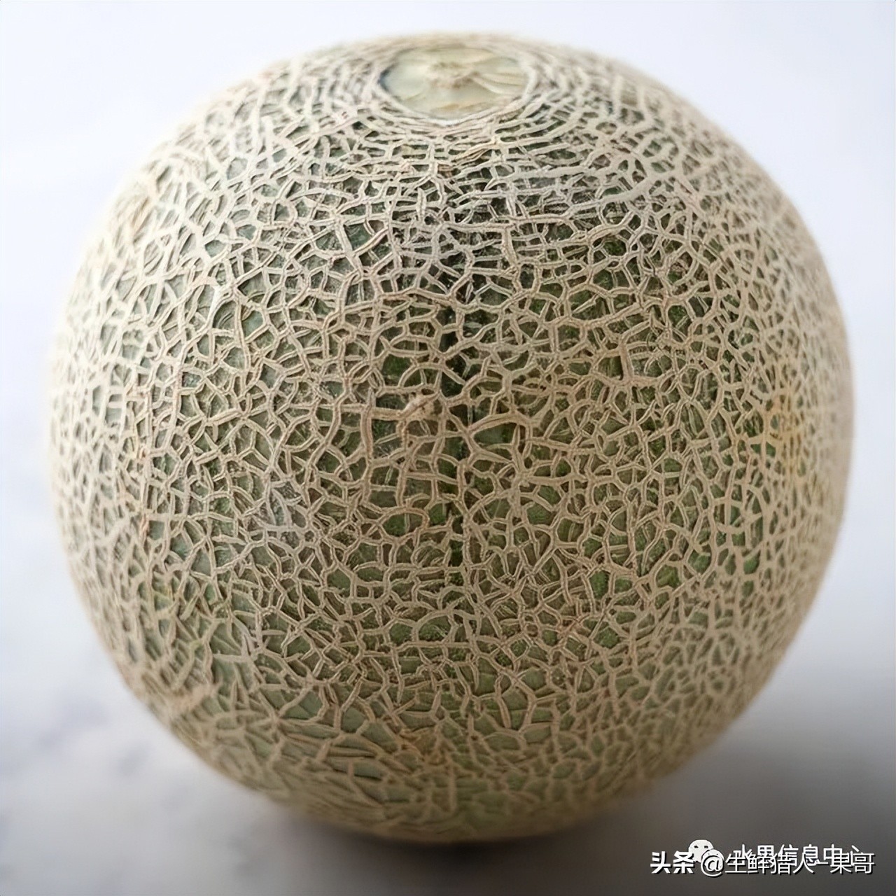 哈密瓜、蜜瓜、网纹瓜、香瓜、羊角蜜傻傻分不清？看完就明白了