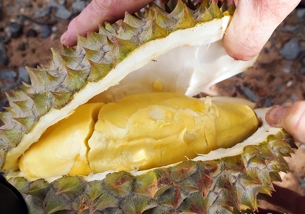 俗話說：&ldquo;一個榴蓮頂3隻雞&rdquo;？ 醫生：不管好壞，5類人需少碰