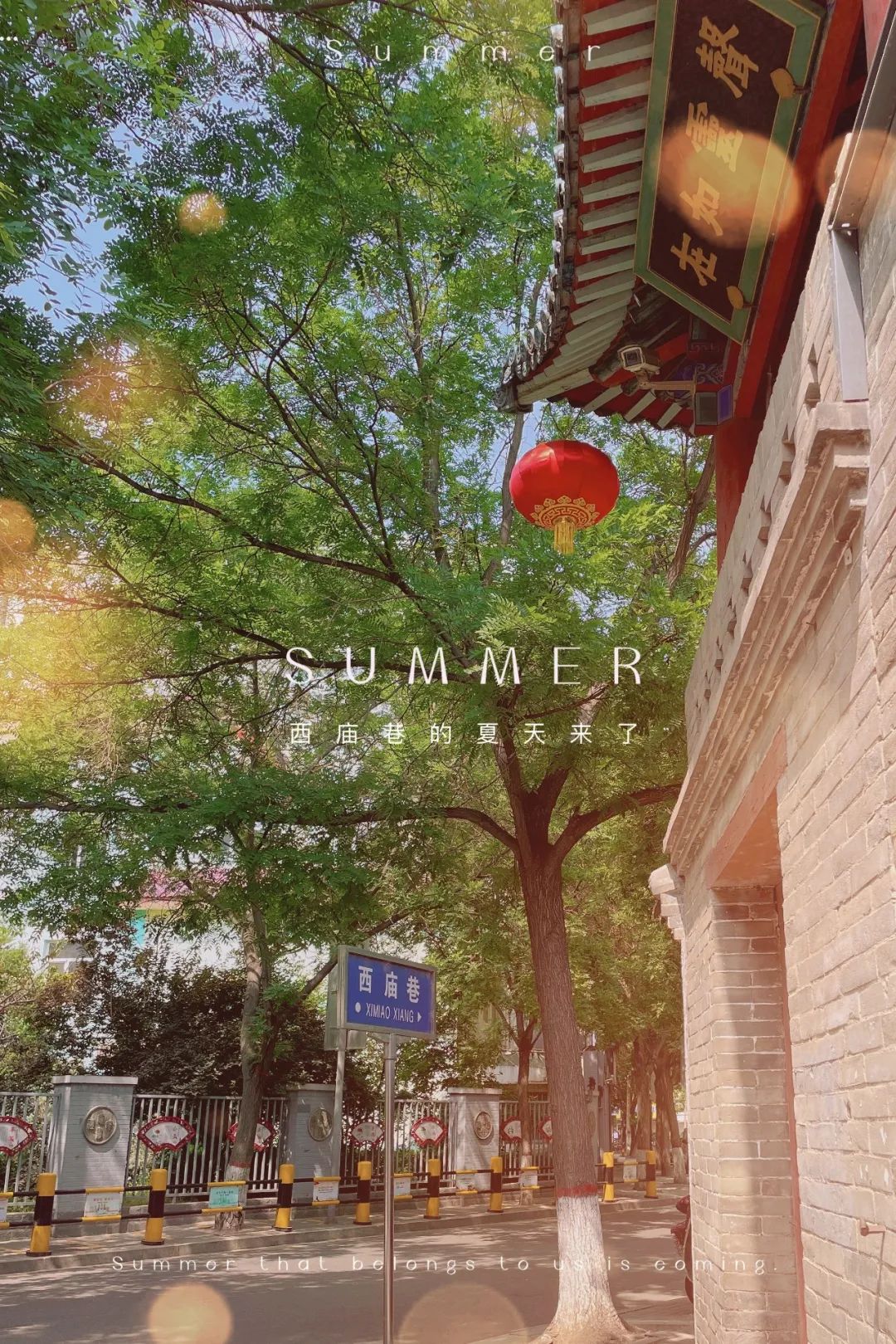 庙前街：总有美妙在不经意间