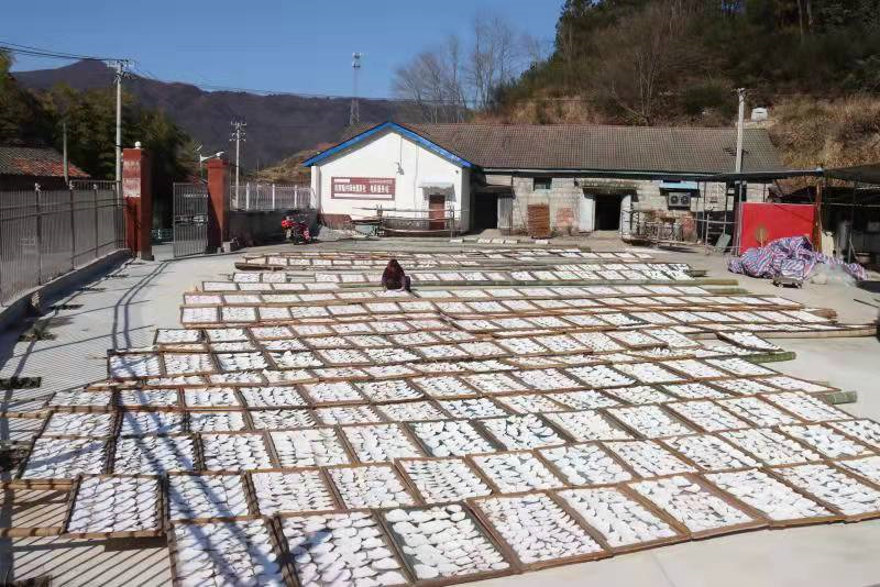 湖北英山大力发展药材种植助力乡村振兴