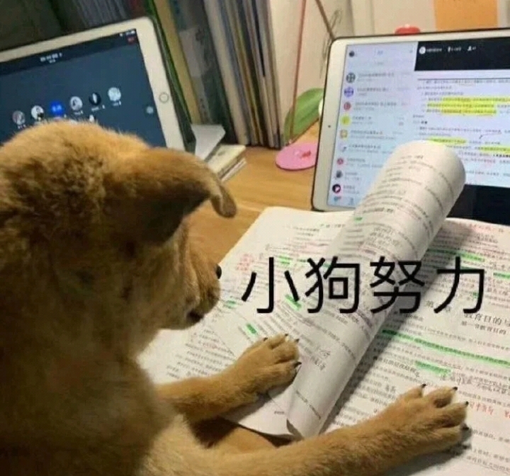 学生时代的搞笑文案