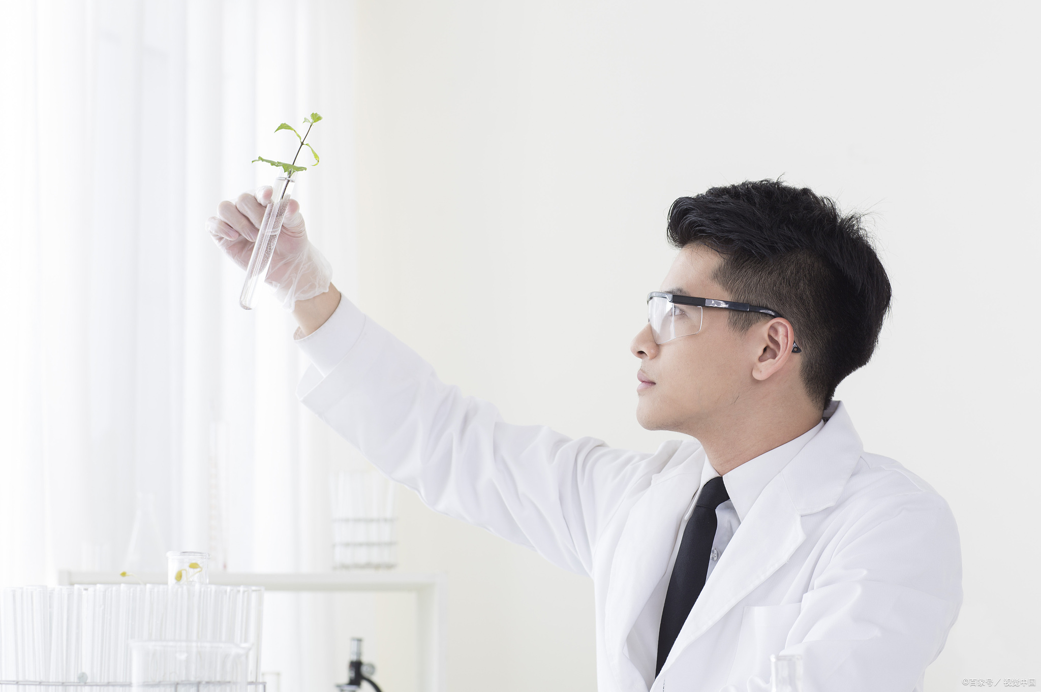 生物学专业：真的是坑？毕业后可以从事什么行业？好不好找工作？