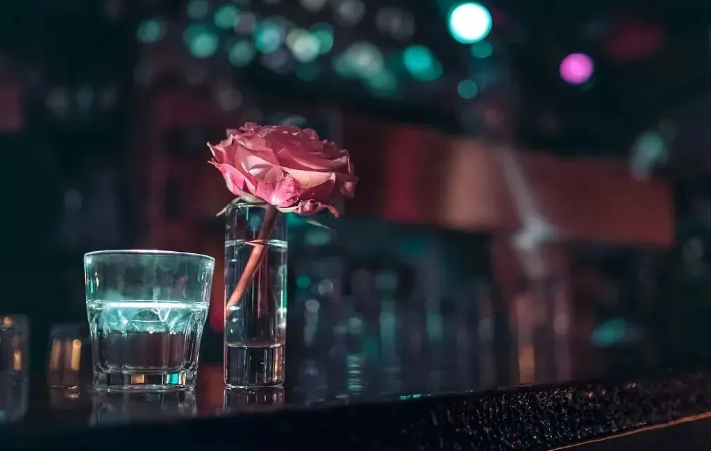 真心推荐给大学生的一本书